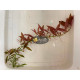 Людвигия гибридная (Ludwigia repens x arcuata)