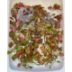 Людвігія Болотна (Ludwigia Palustris)