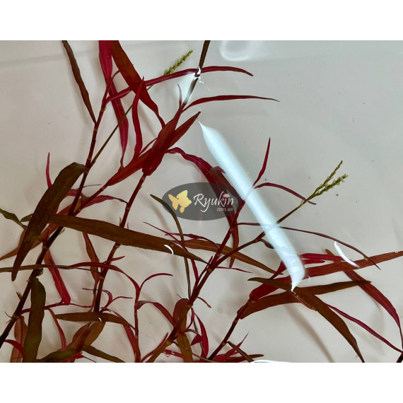 Персикария перечновидная (Persicaria hydropiperoides)