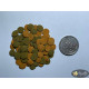 Tetra Wafer Mix 
