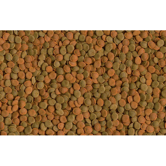 Tetra Wafer Mix 