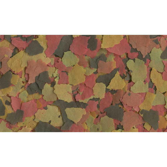 TetraMin XL Flakes 
